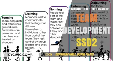 Team Development: 3 Stages of SSD2 Success