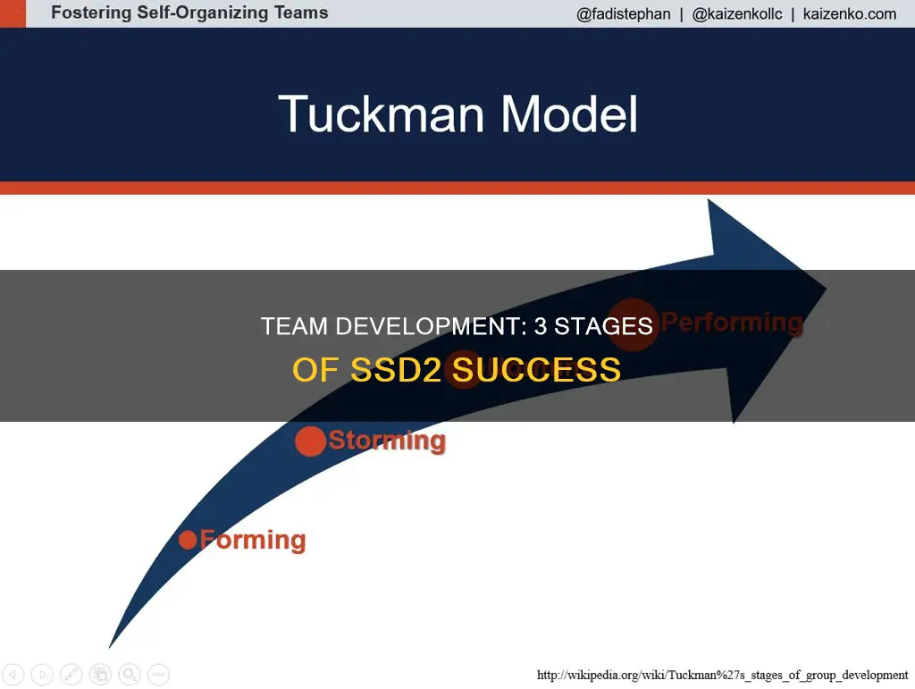 what constitutes the three stages of team development ssd2