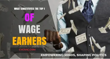 Who Are the Top Earners and How Did They Get There?