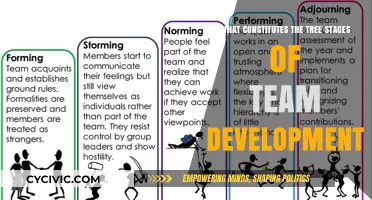 Team Development: Three Stages of Growth and Evolution