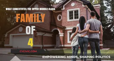 The Upper Middle Class: Family of Four's Comforts
