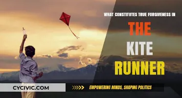 True Forgiveness in Kite Runner: What Does It Mean?