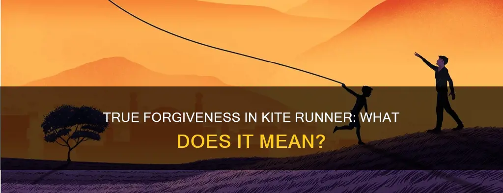 what constitutes true forgiveness in the kite runner