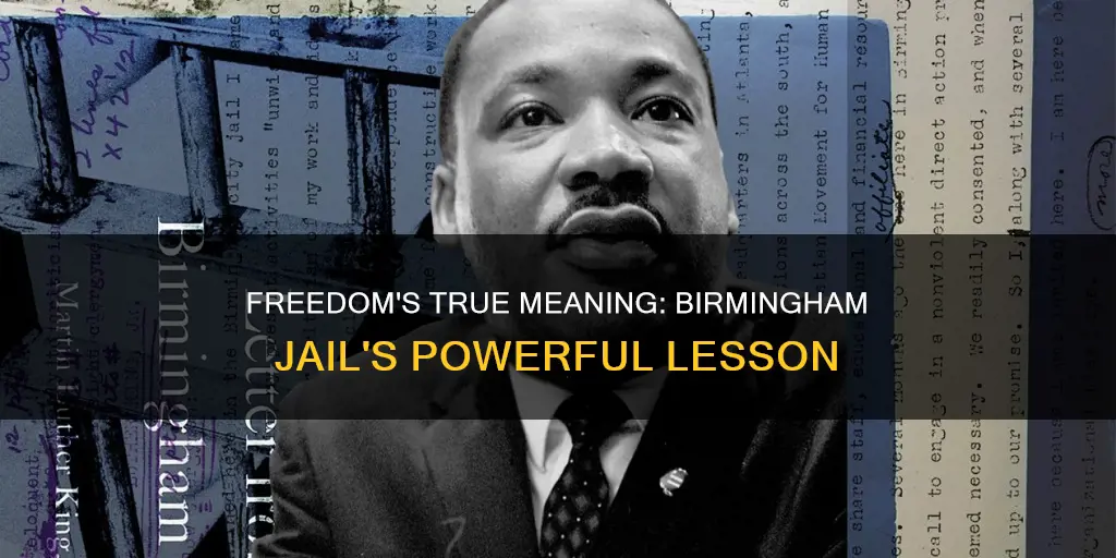 what constitutes true freedom letter from birmingham jail