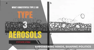 Classifying Aerosols: Understanding Type 2 and Type 3