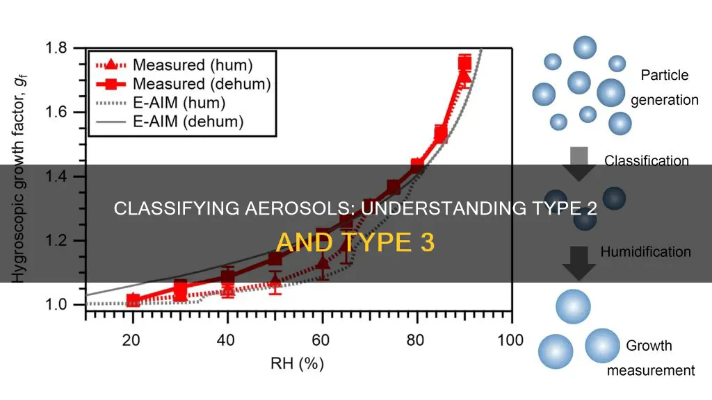 what constitutes type 2 or type 3 aerosols