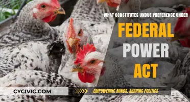 Understanding Undue Preference Under Federal Power Act