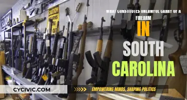 Firearm Carry Laws in South Carolina: What's Unlawful?