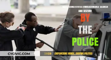 Understanding Unreasonable Search and Seizure by Police