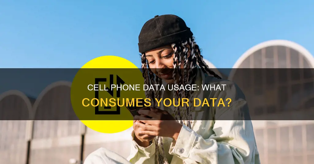 what constitutes using data on a cell phone