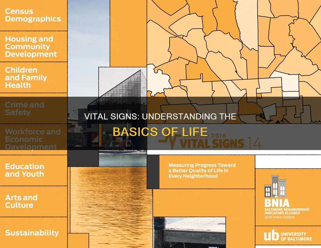 what constitutes vital signs