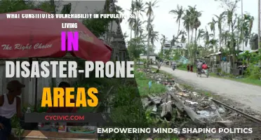 Disaster Zones: Understanding the Factors of Vulnerability