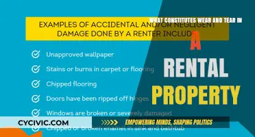 Wear and Tear: Rental Property Damage Explained