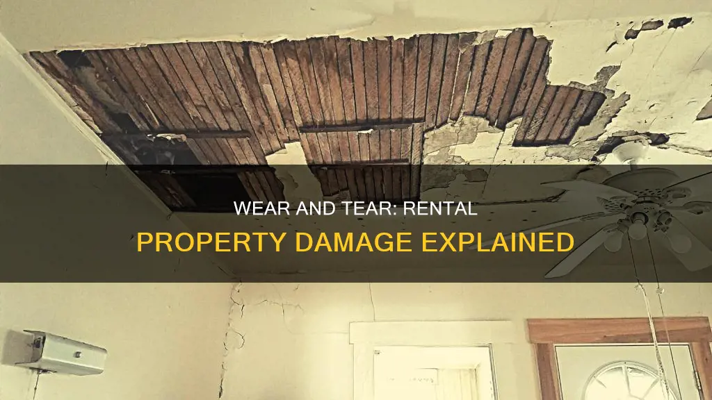 what constitutes wear and tear in a rental property