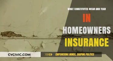 Wear and Tear: What's Covered by Homeowners Insurance?