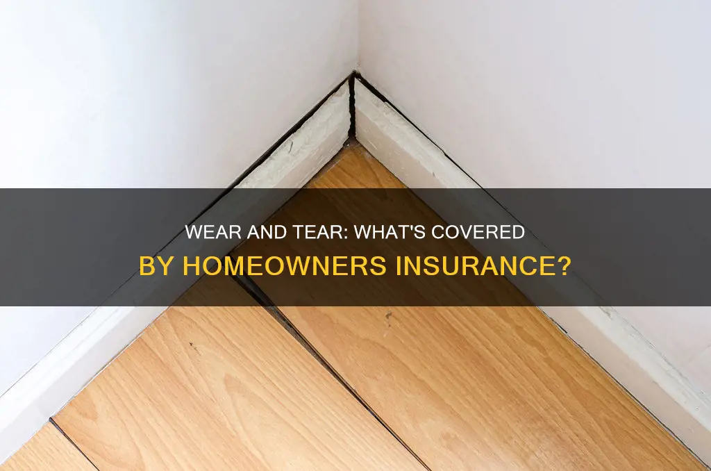 what constitutes wear and tear in homeowners insurance