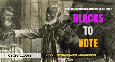 The Amendment that Empowered Black Voters