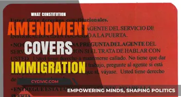 Immigration: Constitutional Amendments Explained