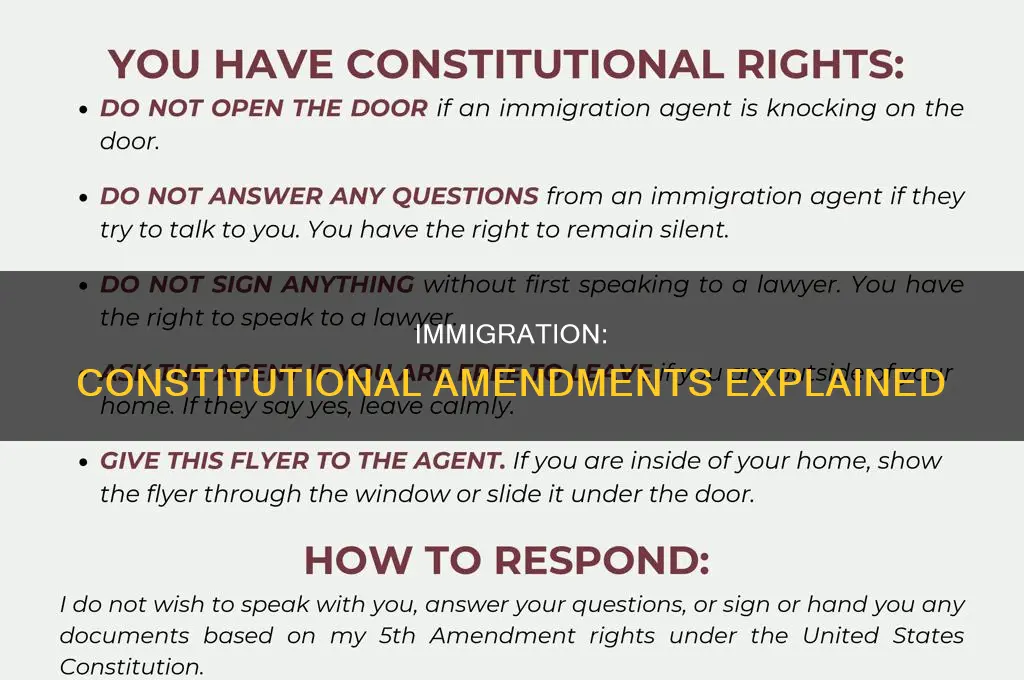 what constitution amendment covers immigration