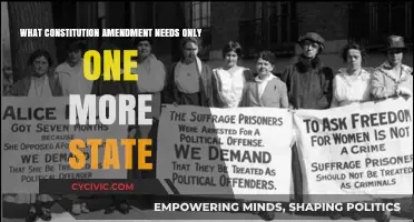 One State Away: The Amendment Almost Complete