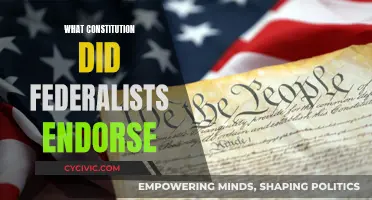 Federalists' Endorsement: The US Constitution's Foundation