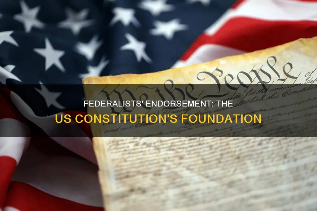 what constitution did federalists endorse
