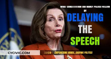 Pelosi's Constitutional Delay: Examining Nancy's Actions