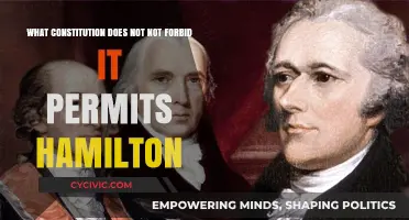 Hamilton's Principle: What the Constitution Doesn't Forbid, It Permits