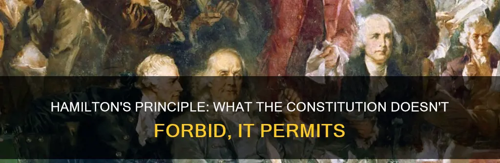 what constitution does not not forbid it permits hamilton