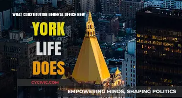 New York Life: Constitution and General Office Roles