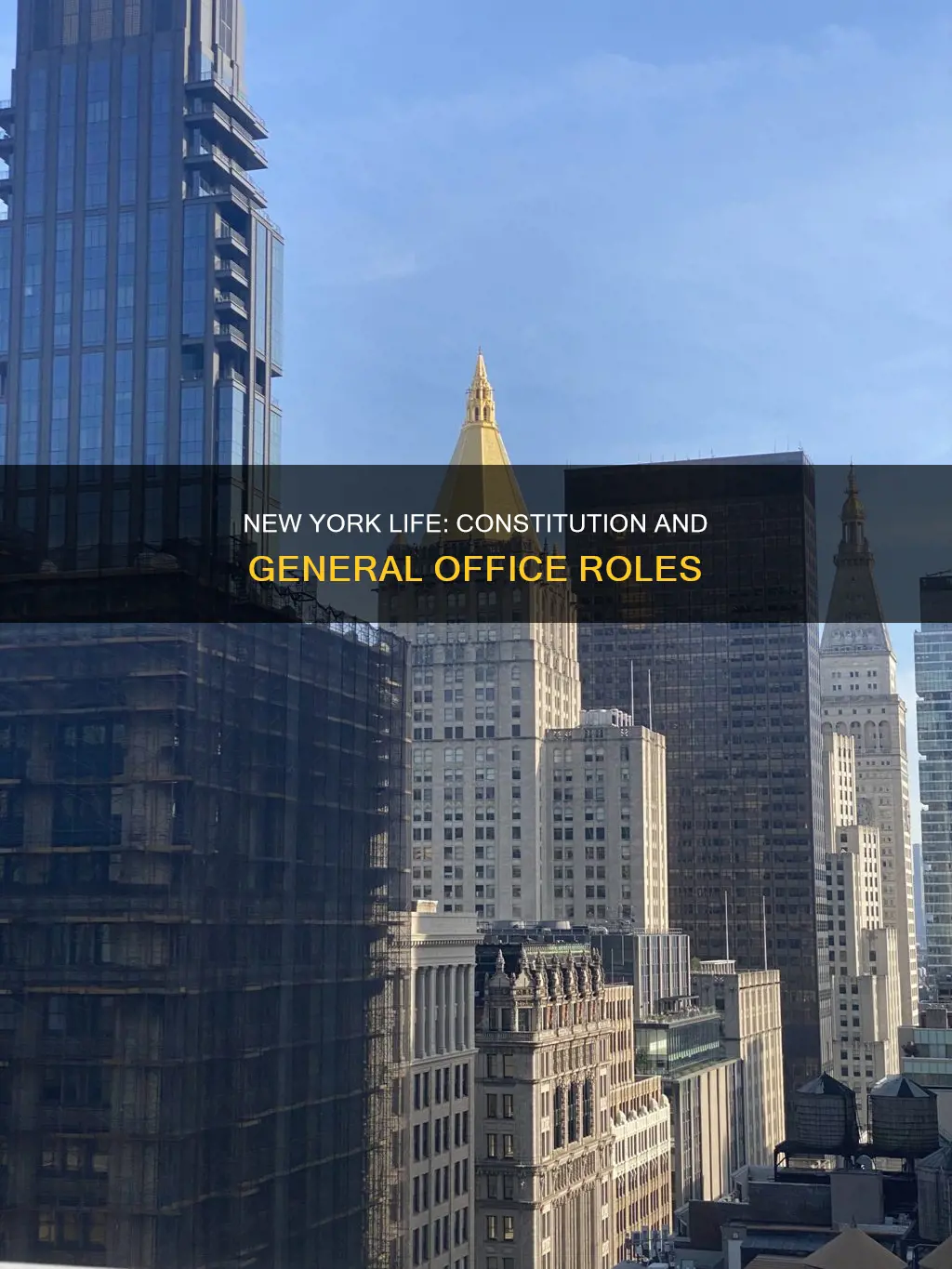 what constitution general office new york life does