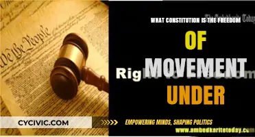 Freedom of Movement: A Constitutional Right
