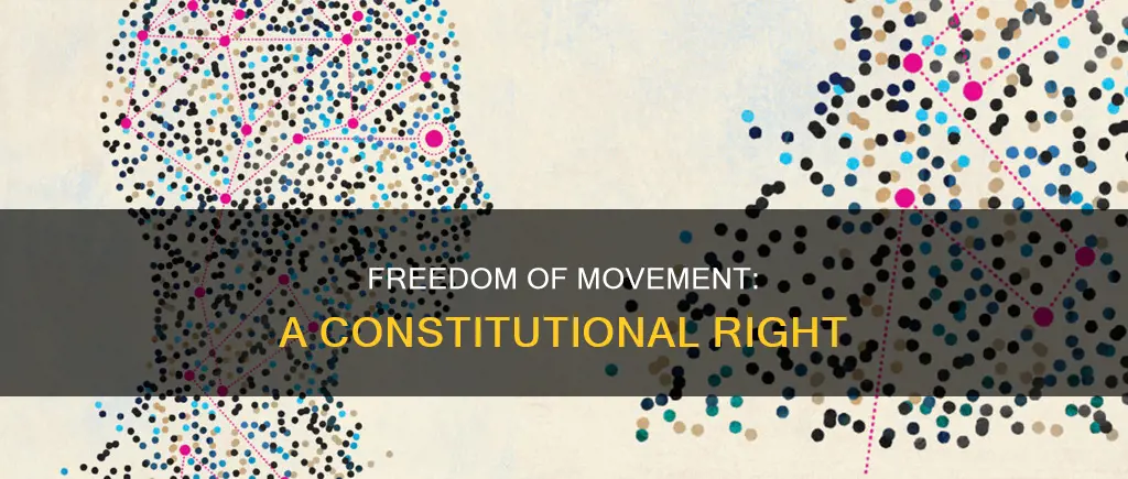 what constitution is the freedom of movement under