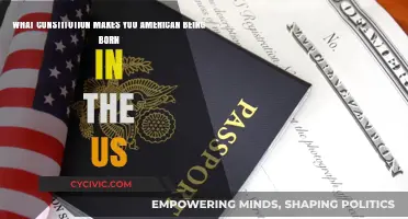 US-Born? Know Your Rights as an American Citizen