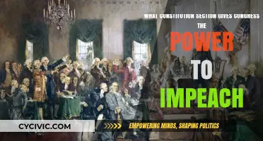 Congress's Impeachment Powers: Exploring Constitutional Roots
