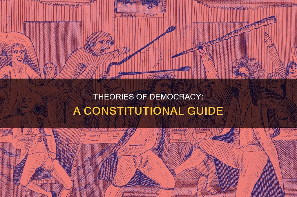 what constitution shows the basic theories of democracy