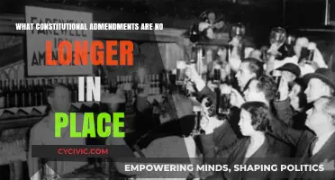 Exploring Expired Constitutional Amendments: A Historical Perspective