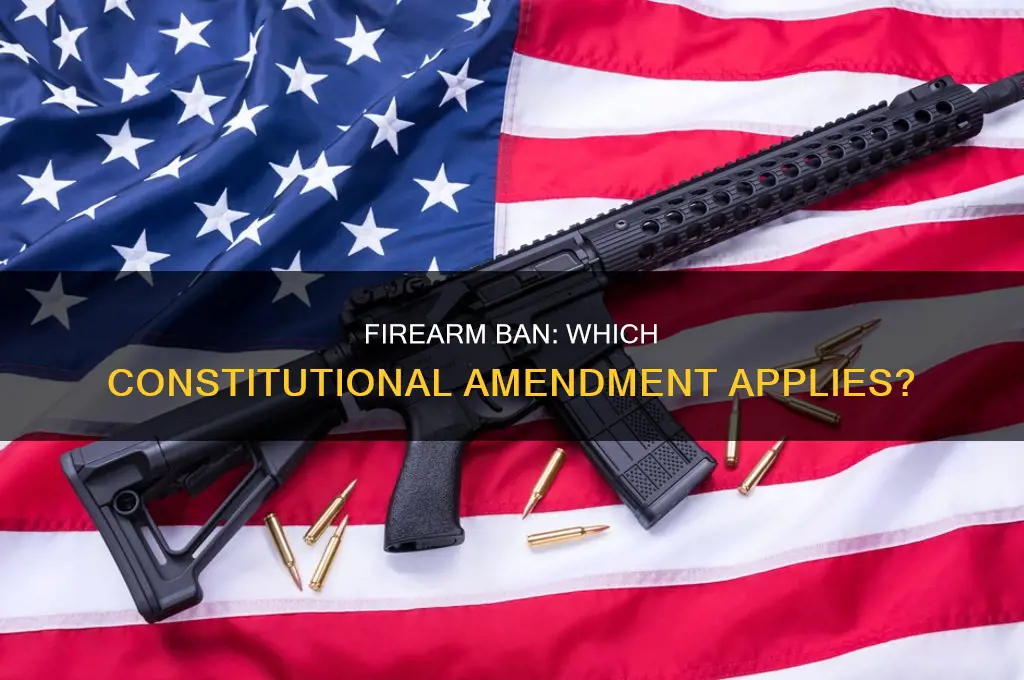 what constitutional amendment deals with banning of firearms