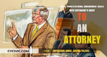 The Right to Counsel: Understanding the Sixth Amendment