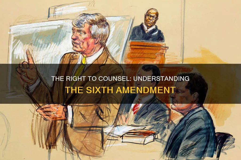 what constitutional amendment deals with defendant