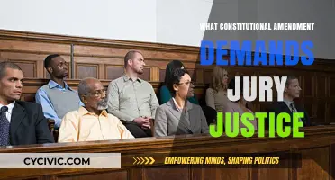 Jury Justice: The Constitutional Amendment Explained