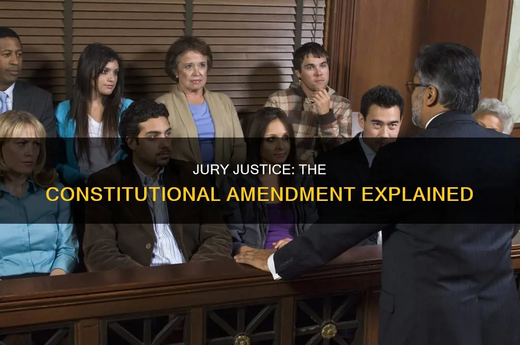what constitutional amendment demands jury justice