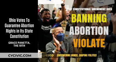 The Right to Abortion: Which Amendment Protects It?