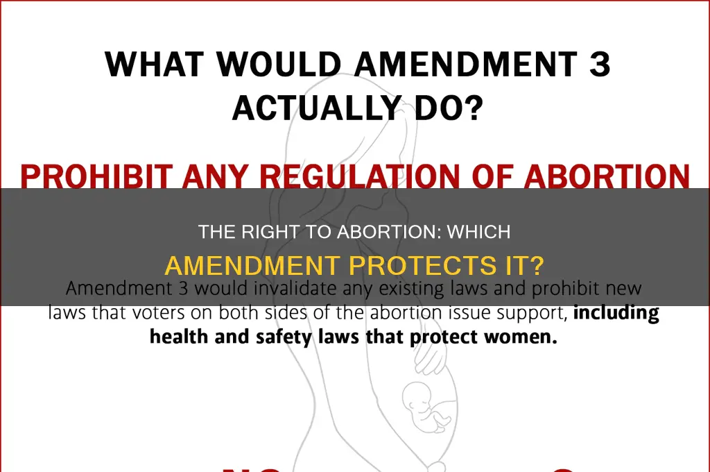 what constitutional amendment does banning abortion violate