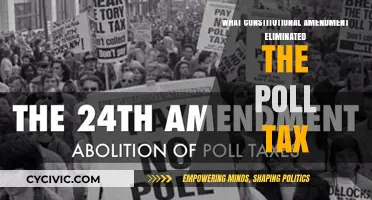 Amendment Triumph: Poll Tax Abolished
