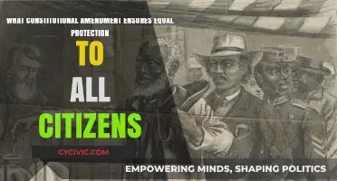 The Fourteenth: Equal Protection for All Citizens