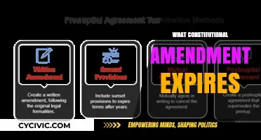 The Constitution's Expiring Amendments: An Exploration