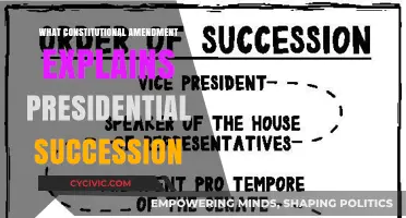 Presidential Succession: The Constitutional Amendment Explained