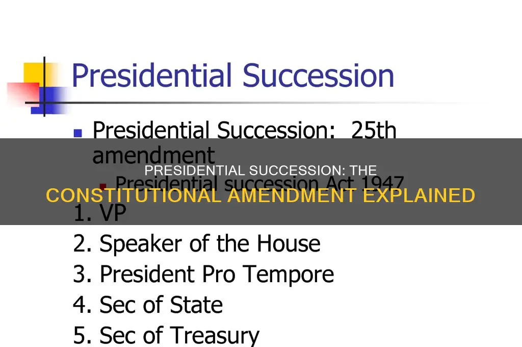 what constitutional amendment explains presidential succession