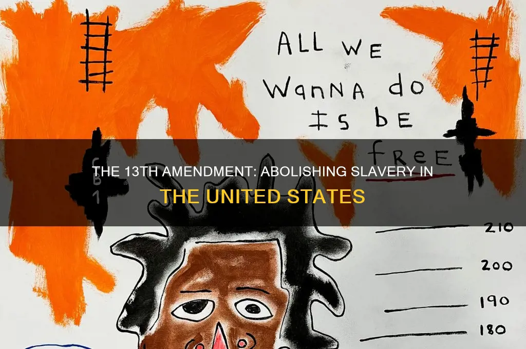 what constitutional amendment extended abolition throughout the united states